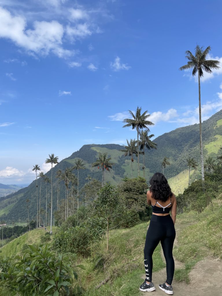 vallée de Cocora colombie