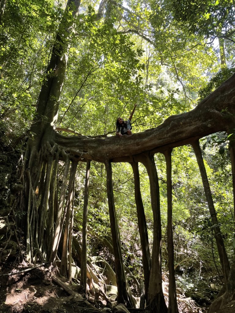 Que faire à Monteverde ?, Costa Rica
