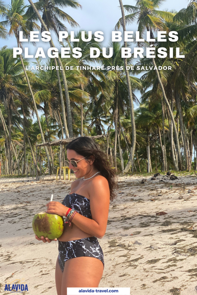 épingle pinterest itinéraire 1 mois au brésil : les plus belles plages du brésil