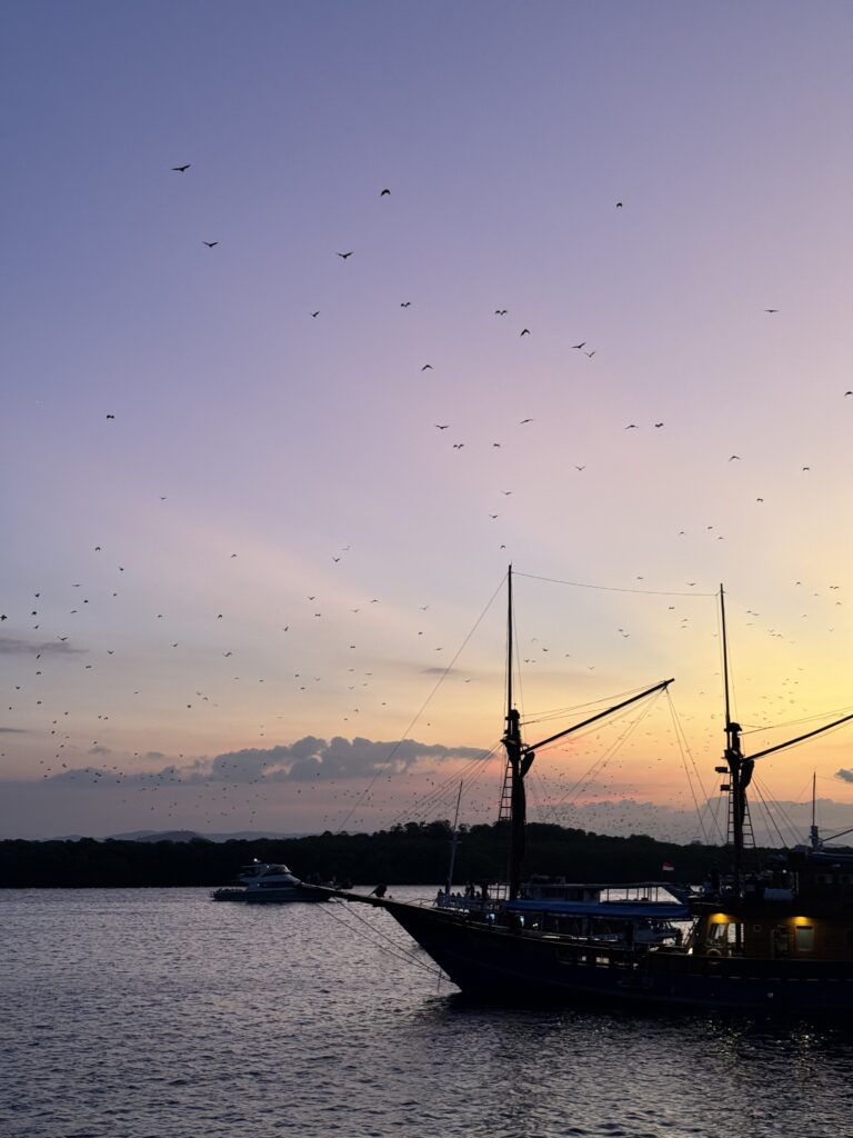 couleurs de coucher de soleil depuis le bateau de croisière et centaines de chauves souris