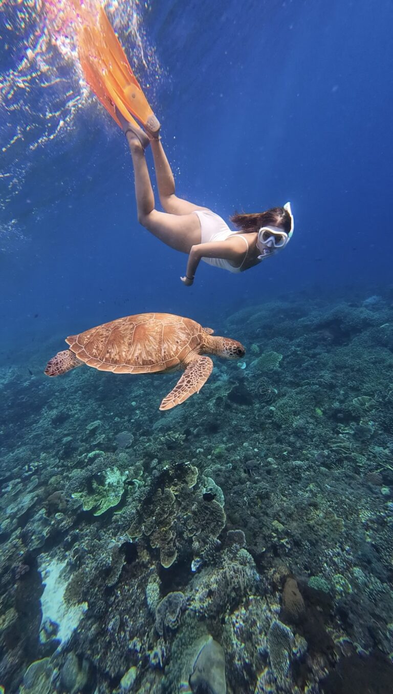 alycia avec une tortue sous l'eau